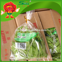 IQF pea pods good quality cheap peas